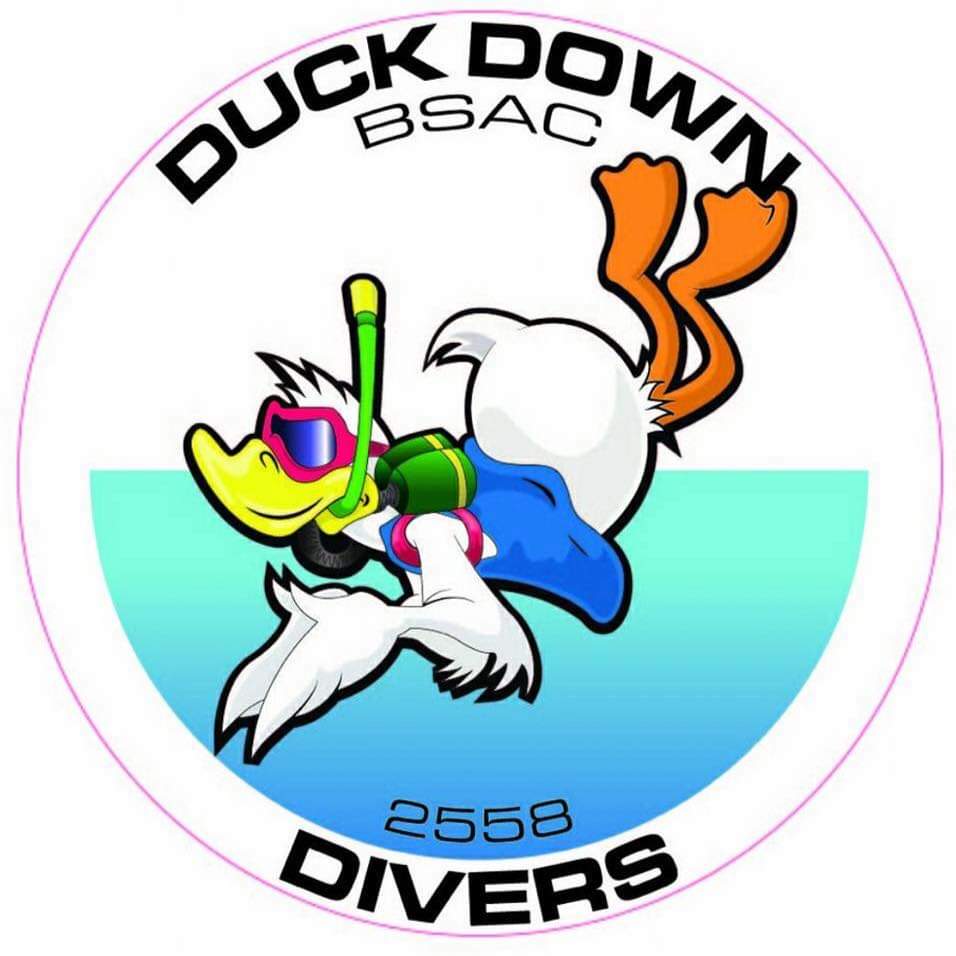 Duck Down Divers Logo